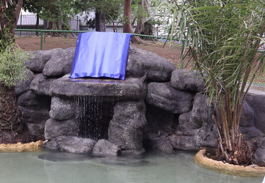 Tânia Bastos destaca inauguração do primeiro Batistério Público do Rio no Dia da Bíblia - Parte 1 - Foto 17