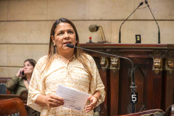 Vereadora Tânia Bastos no Plenário da Câmara Municipal
