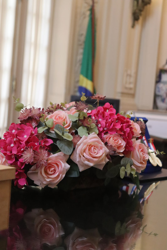 Entrega da Medalha Pedro Ernesto à Sra. Kárin Emmerich - Fotos: Cicero Rodrigues/CMRJ - Ascom Tânia Bastos - Foto 64