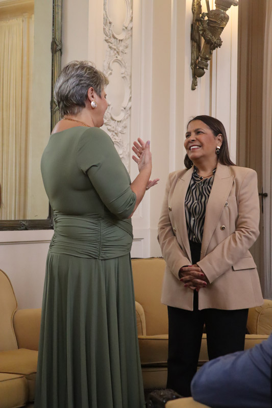 Entrega da Medalha Pedro Ernesto à Sra. Kárin Emmerich - Fotos: Cicero Rodrigues/CMRJ - Ascom Tânia Bastos - Foto 72