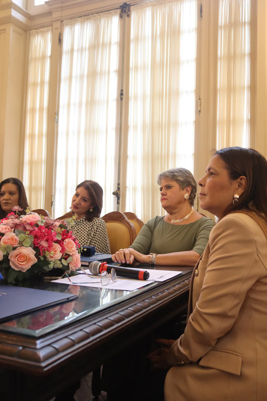 Entrega da Medalha Pedro Ernesto à Sra. Kárin Emmerich - Fotos: Cicero Rodrigues/CMRJ - Ascom Tânia Bastos - Foto 86