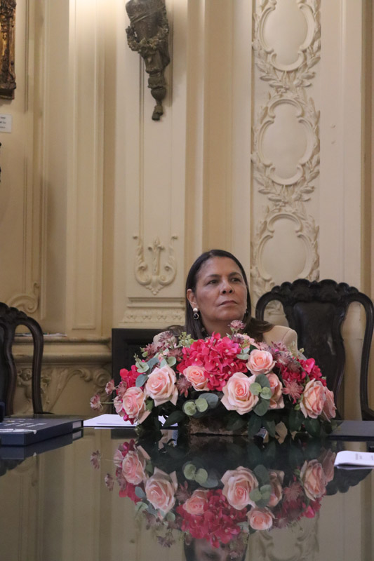 Entrega da Medalha Pedro Ernesto à Sra. Kárin Emmerich - Fotos: Cicero Rodrigues/CMRJ - Ascom Tânia Bastos - Foto 88