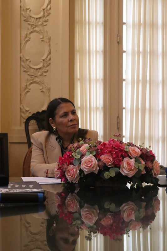 Entrega da Medalha Pedro Ernesto à Sra. Kárin Emmerich - Fotos: Cicero Rodrigues/CMRJ - Ascom Tânia Bastos - Foto 91