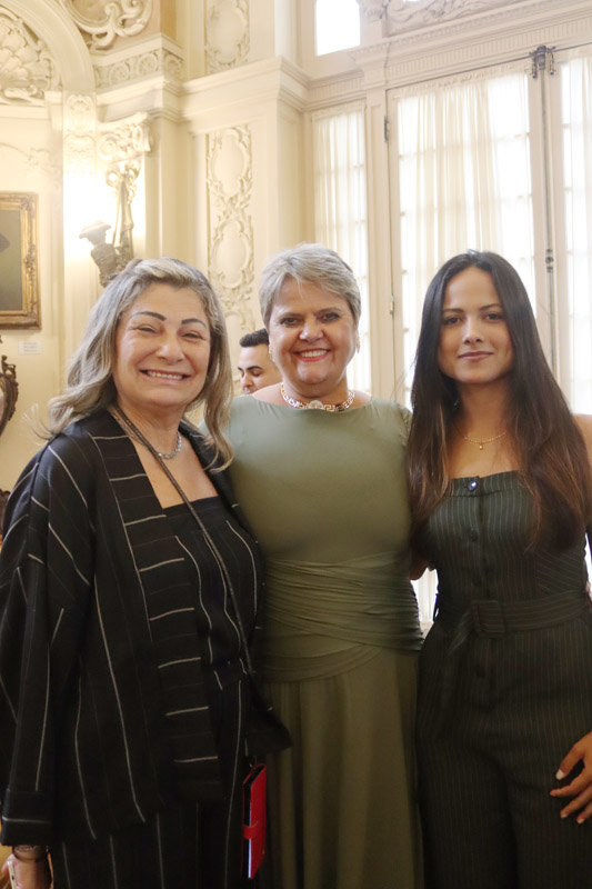 Entrega da Medalha Pedro Ernesto à Sra. Kárin Emmerich - Fotos: Cicero Rodrigues/CMRJ - Ascom Tânia Bastos - Foto 96