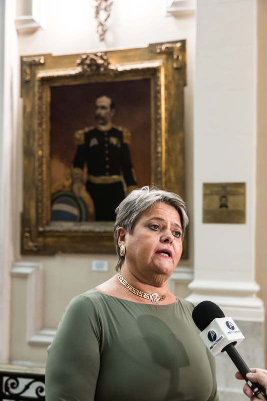 Entrega da Medalha Pedro Ernesto à Sra. Kárin Emmerich - Fotos: Cicero Rodrigues/CMRJ - Ascom Tânia Bastos - Foto 56