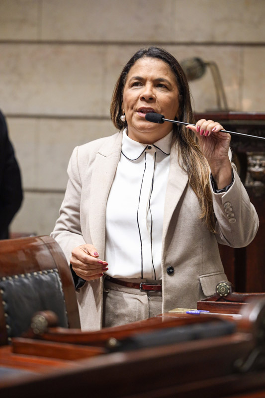 Vereadora Tânia Bastos no Plenário da Câmara Municipal - Foto 26